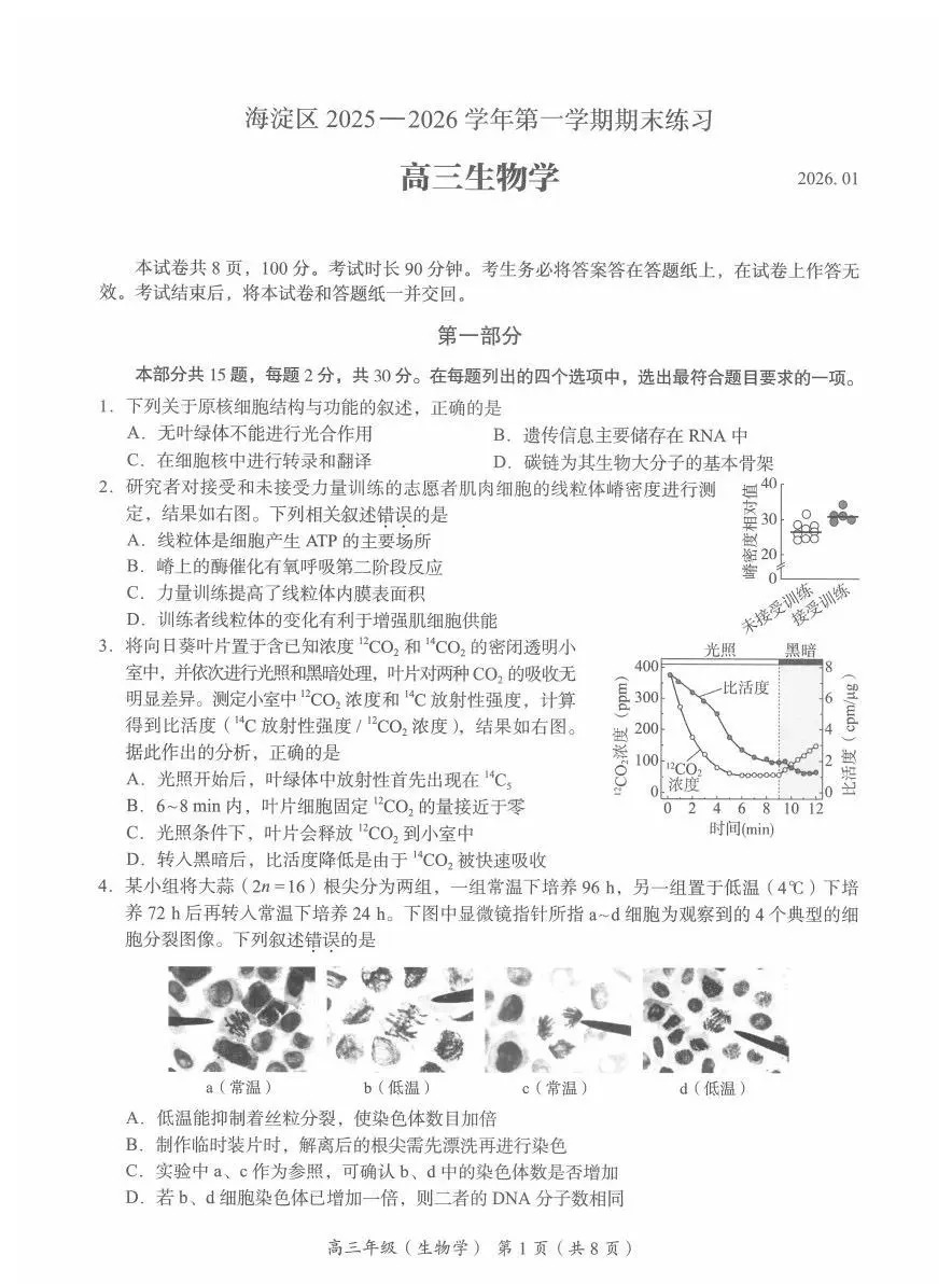 2025-2026学年北京海淀高三上学期期末生物试题及答案