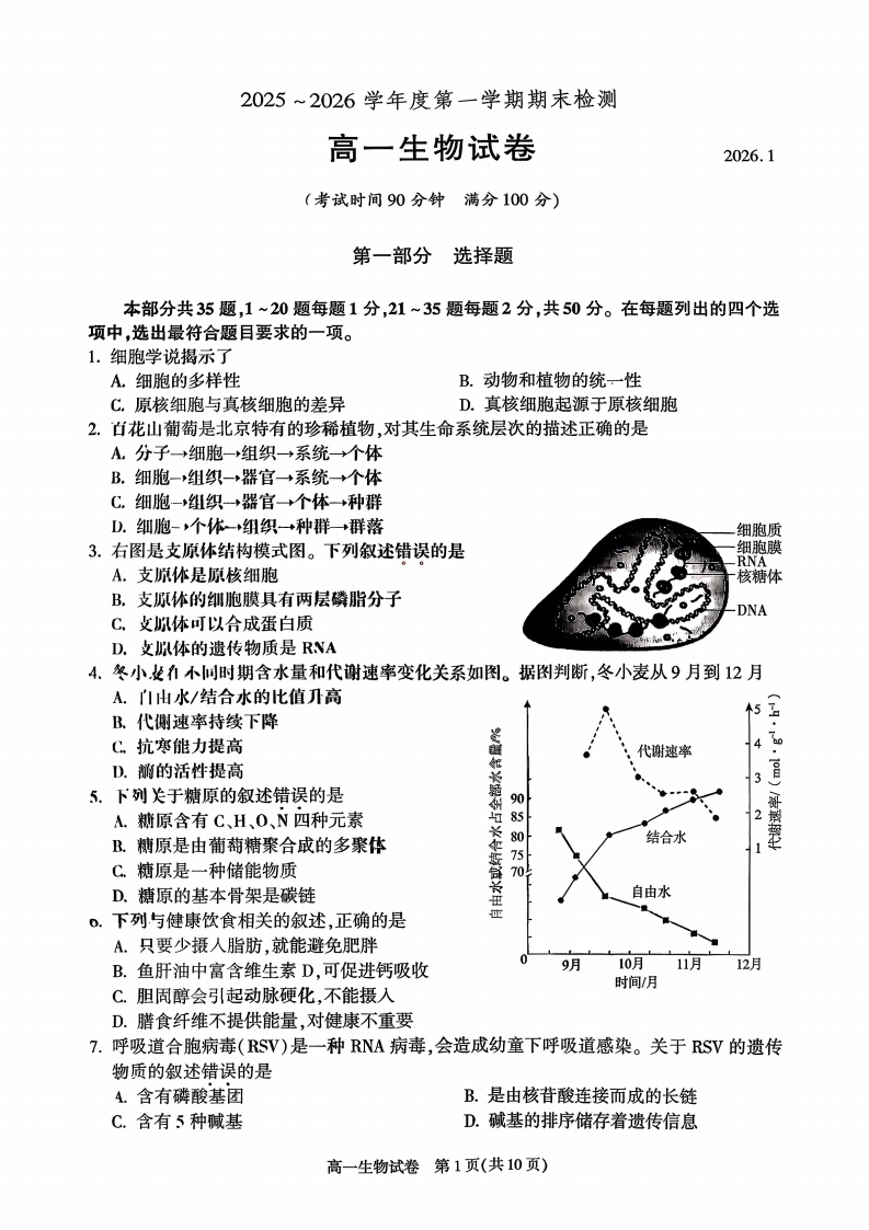 2025-2026学年北京朝阳高一上学期期末生物试题及答案