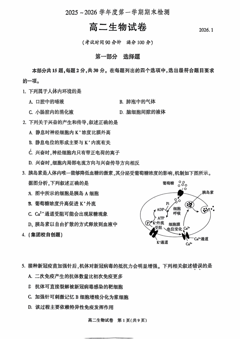 2025-2026学年北京朝阳高二上学期期末生物试题及答案