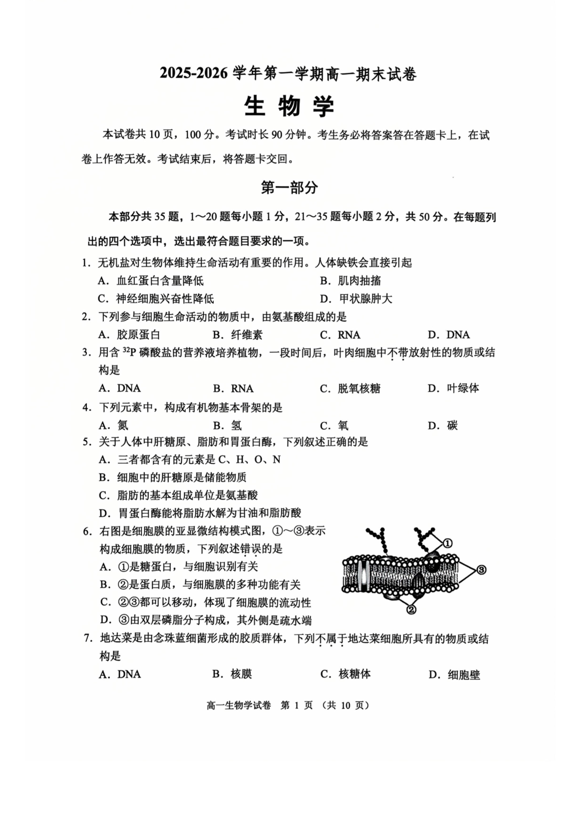 2025-2026学年北京石景山高一上学期期末生物试题及答案