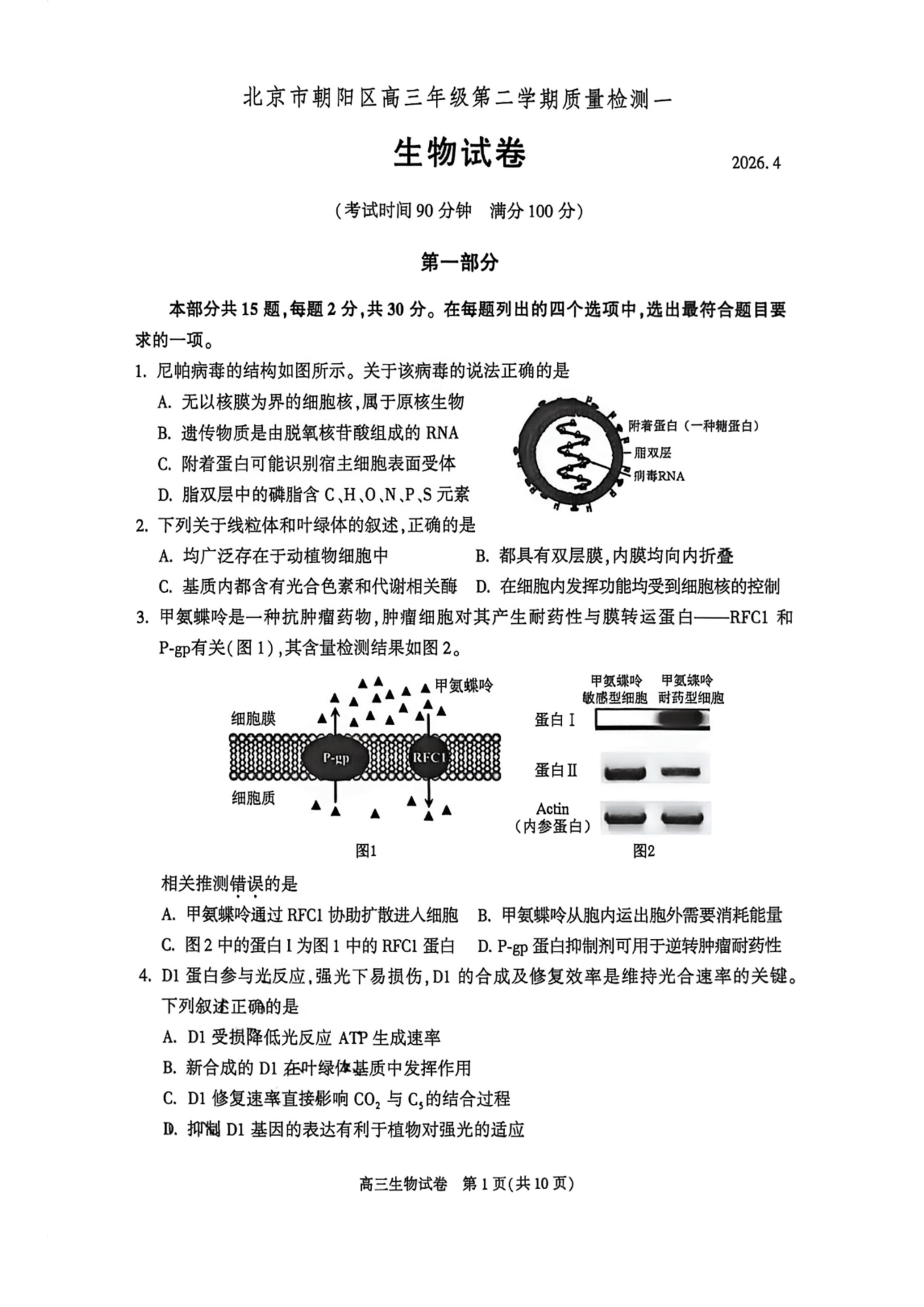 2026北京朝阳高三一模生物试题及答案