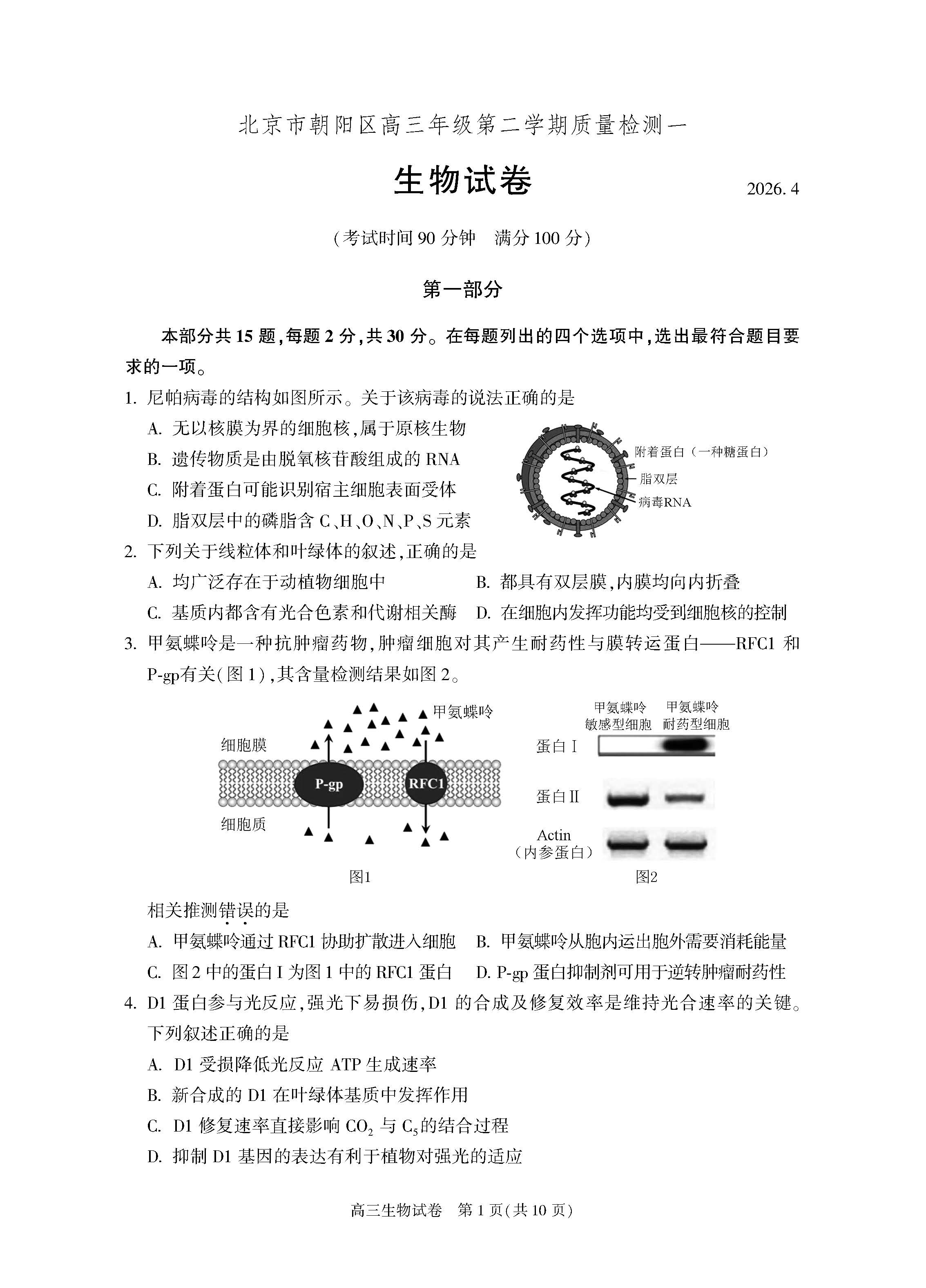 2026北京朝阳高三一模生物试题及答案