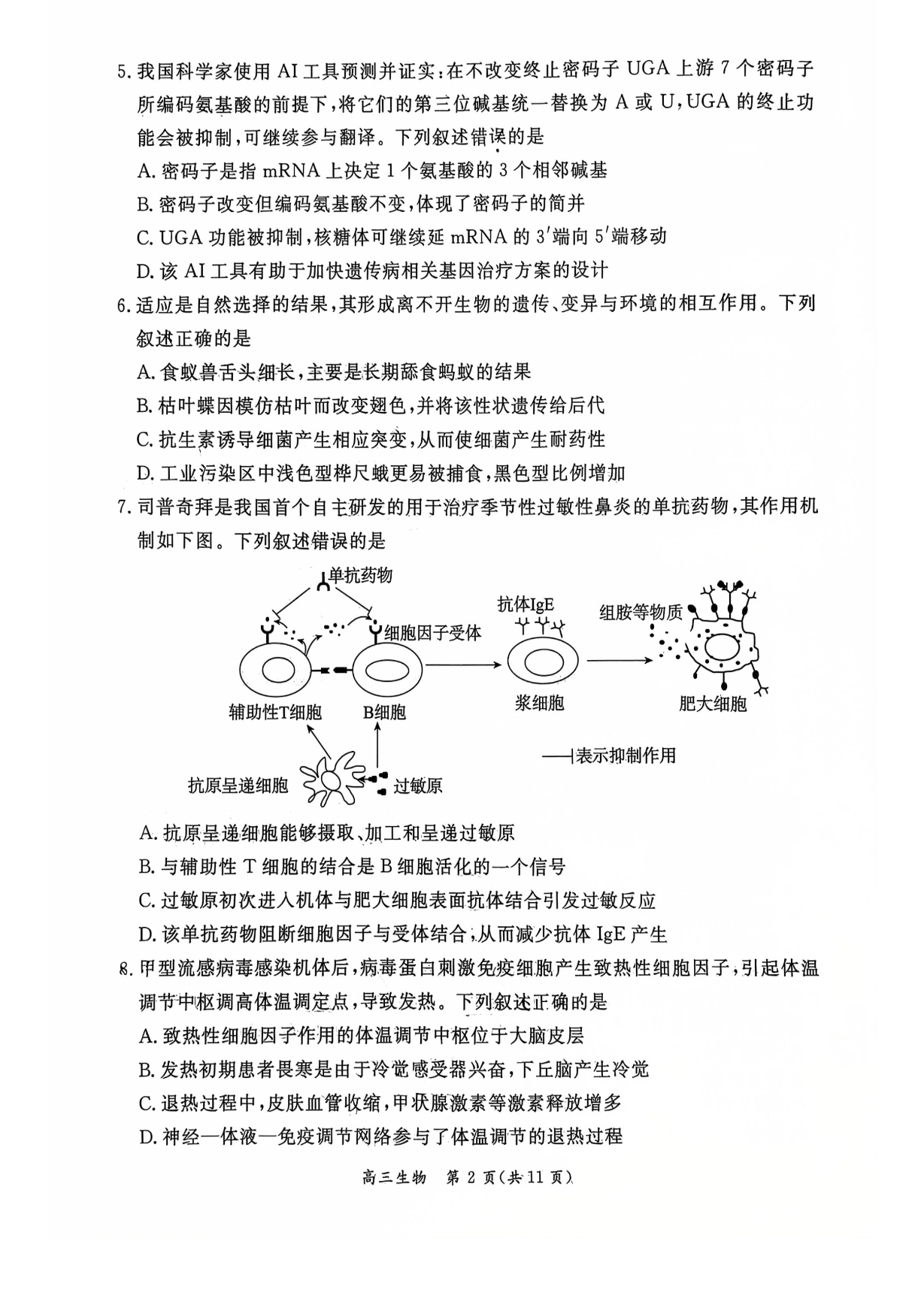 2026北京东城高三一模生物试题及答案