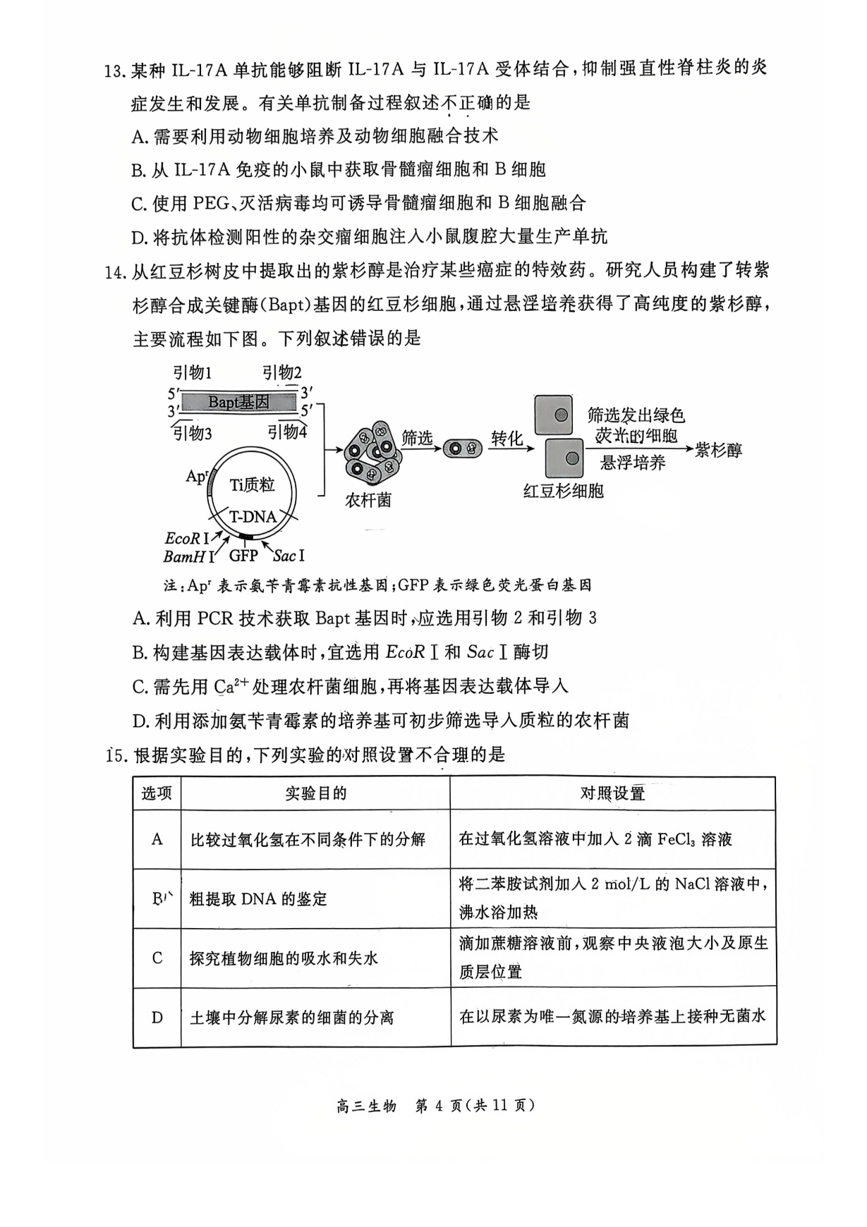 2026北京东城高三一模生物试题及答案