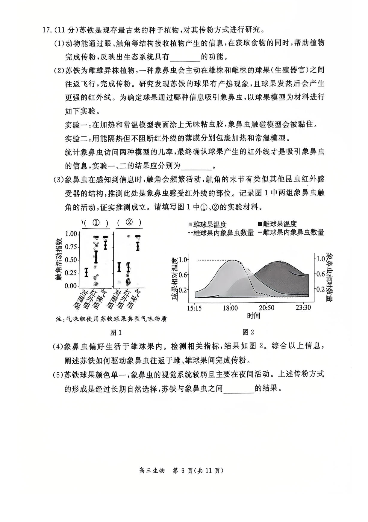 2026北京东城高三一模生物试题及答案