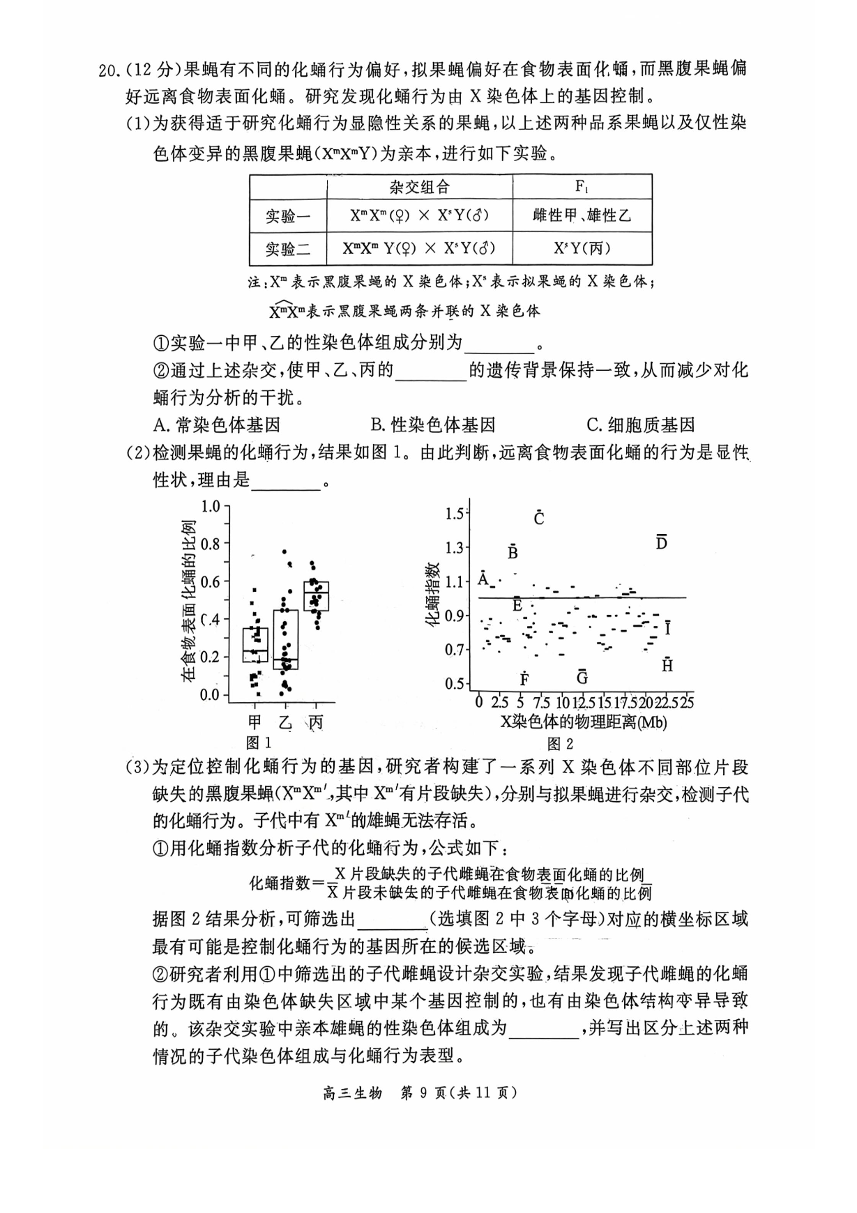 2026北京东城高三一模生物试题及答案