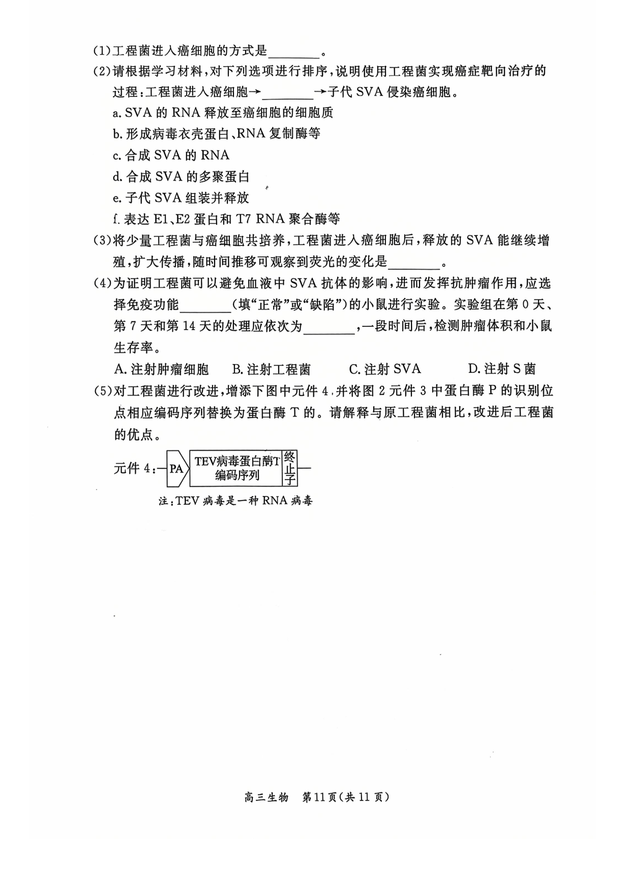 2026北京东城高三一模生物试题及答案