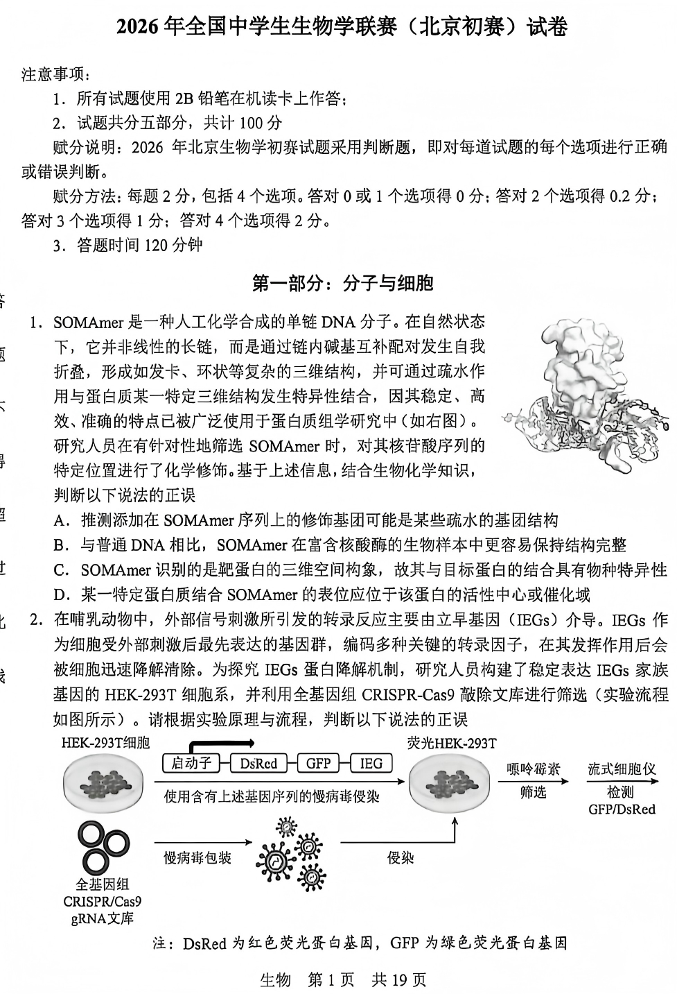 2026年中学生生物学联赛北京赛区初赛试题及答案