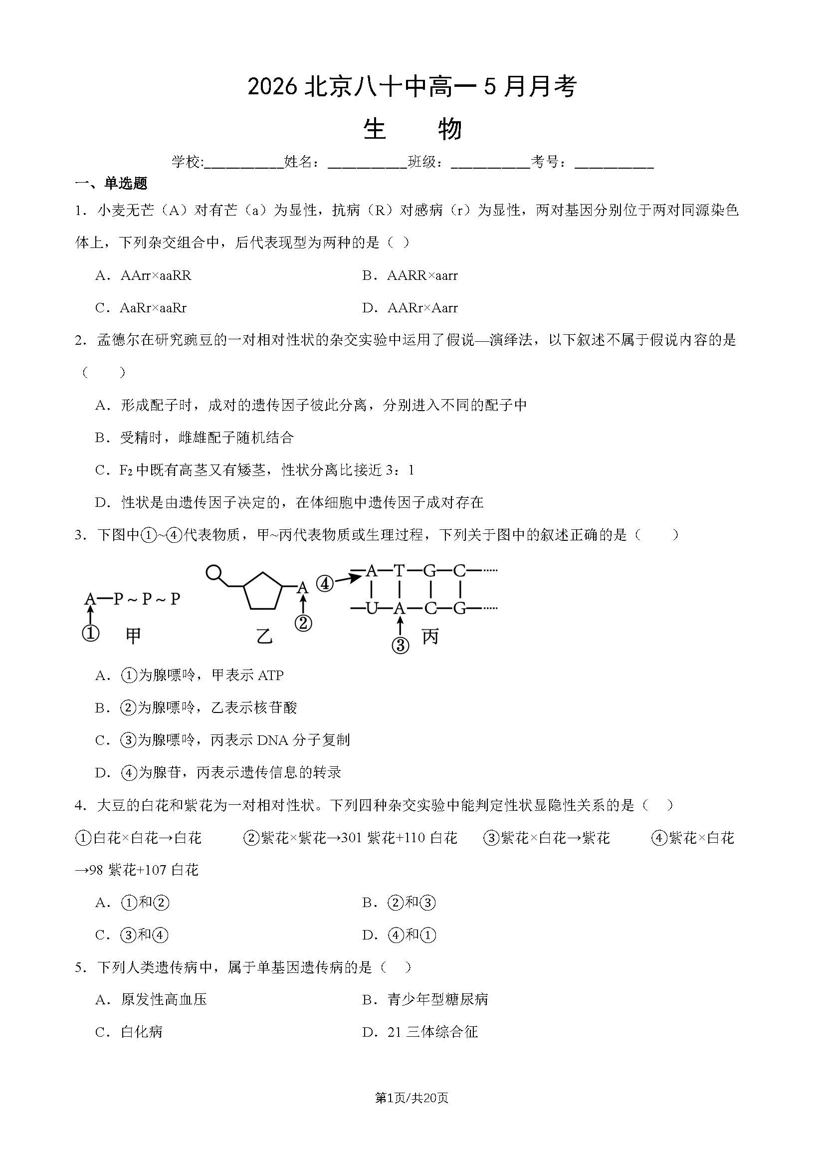 2026北京八十中高一5月月考生物试题及答案