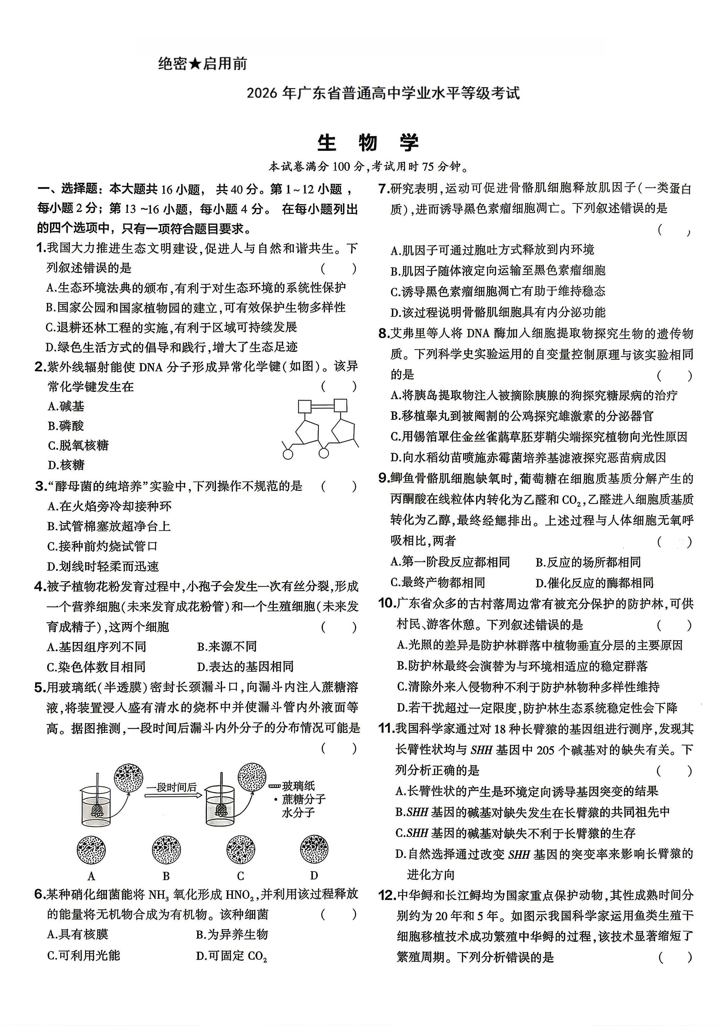 2026年广东高考生物试题及答案