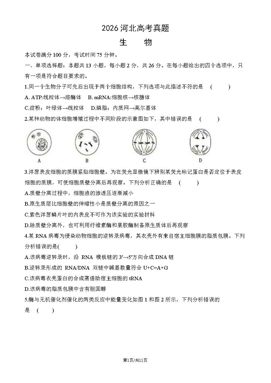 2026年高考河北生物试题及答案