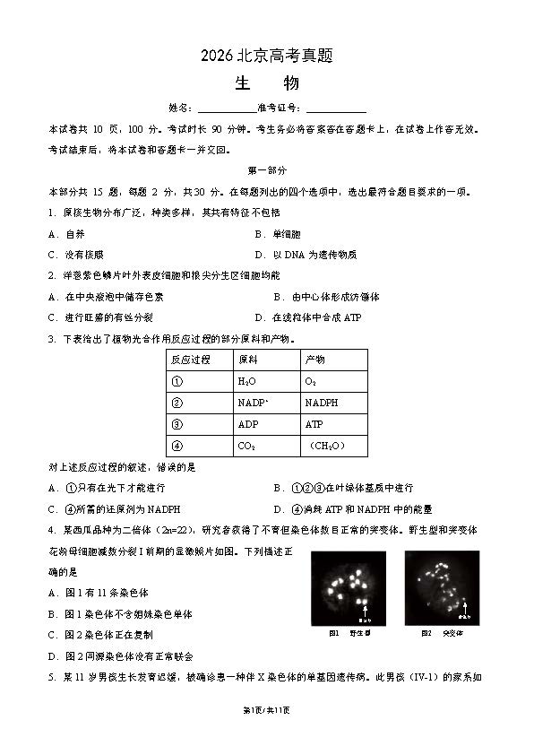 2026年北京高考生物试题及答案