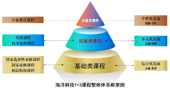北京市第五十五中学2026年1+3项目招生简章